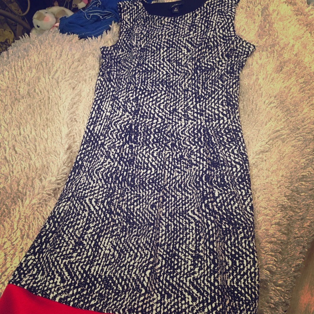 Sz 12 ALYX dress